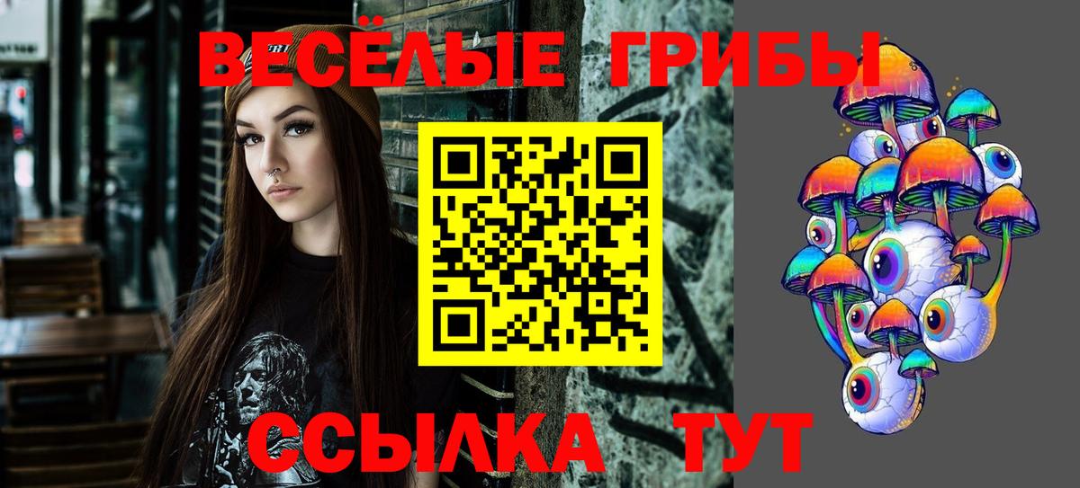 Псилоцибиновые грибы Psilocybe  Вход с VPN  Киселёвск 